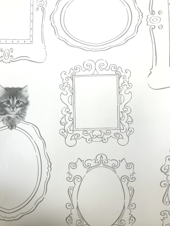 LITTLE STAR KEDİLİ ÇOCUK ODASI DUVAR KAĞIDI LS10700