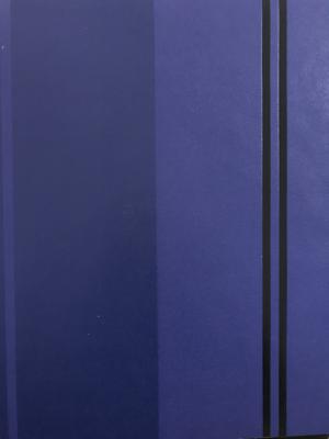 GRANDECO LACİVERT SİYAH ÇİZGİLİ DUVAR KAĞIDI 289000